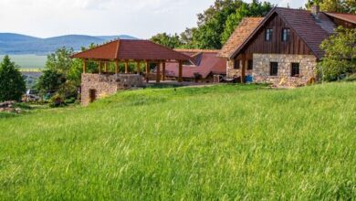 Takács Tanya Nemesvámos 