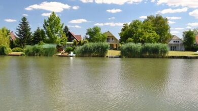 Tamás Nyaraló Békésszentandrás 