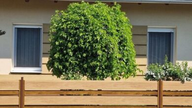 Tamási Nyaralóház Balatonmáriafürdő 