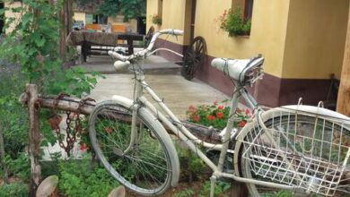 Tanya 360° Lajosmizse 