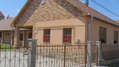 Tavi-fészek Vendégház Bánk 