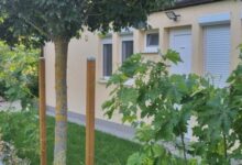 Tearózsa Vendégház 2 Balatonszárszó 