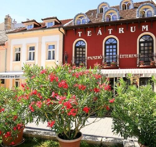 Teátrum Panzió és Étterem Győr 