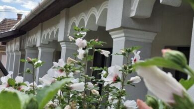 Téli Berek Vendégház Abod 