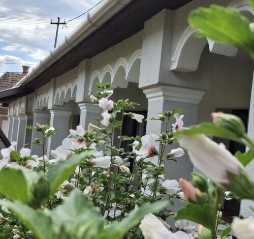 Téli Berek Vendégház Abod 