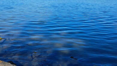 Tengerészlak Apartman Fonyód  