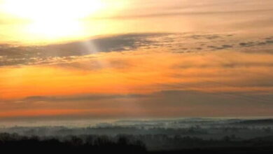 Tenkes-hegyi Vendégház Siklós 