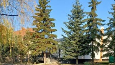 The Other House Piliscsaba 