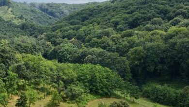 Tilia Pagony Vendégház Borsodnádasd 