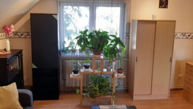 Tímea Apartman Budapest 