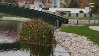 Tip-Top Wellness Apartman Zalakaros 