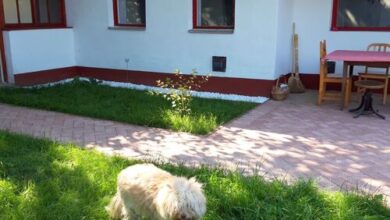 Tisza-tavi Amúrlak Poroszló 