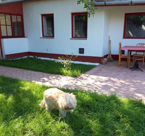 Tisza-tavi Amúrlak Poroszló 