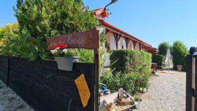 Tisza-tavi Menedék Vendégház Poroszló 