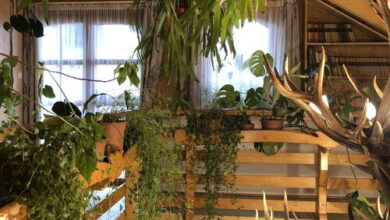 Tiszafa Vendégház Szentgál 