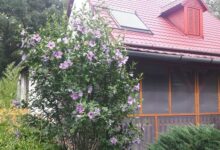 Tiszai Vándor Apartmanház Kisköre 