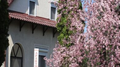 Tiszavirág Apartman Tiszafüred 