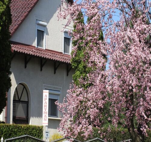 Tiszavirág Apartman Tiszafüred 