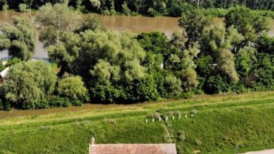 Tiszavirág Panorámaház Szeged 