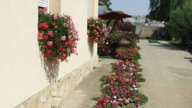 Tiszavirág Vendégház Abádszalók 