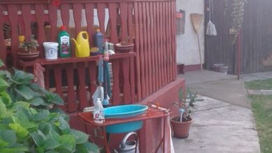 Tiszavirág Vendégház Falusi Szálláshely Kisar 