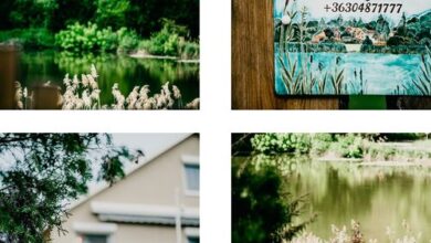 Tó kincse Nyírjes Balassagyarmat 