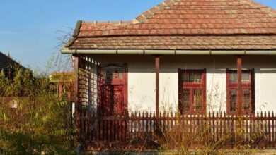 Tőkés Réce Élményporta Sarud 