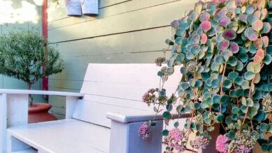 Tölgyes Vendégház Nagymaros 