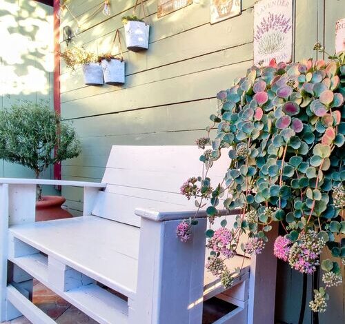 Tölgyes Vendégház Nagymaros 