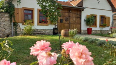 Tölgyfaodú Vendégház Bakonykúti 