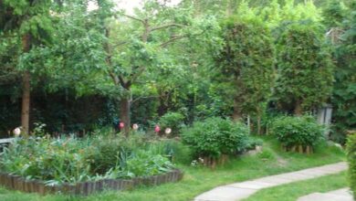 Tolnai Apartman Sárvár 