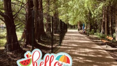 Tópart Apartman Hévíz 