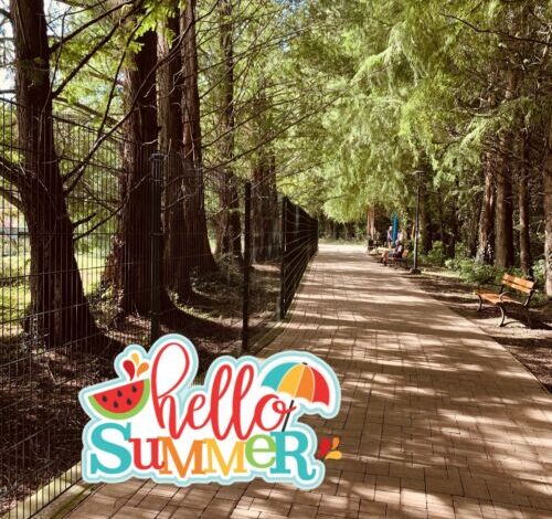 Tópart Apartman Hévíz 