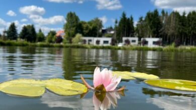 Tópart Apartmanok Nagylengyel 