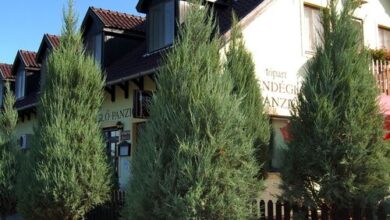 Tópart Vendéglő és Panzió Mezőberény 