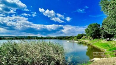 Tóparti Kuckó Mályi 