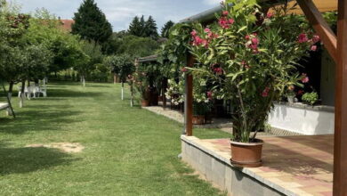 Torjai Vendégház Zamárdi 