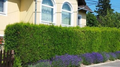 Török Apartman Tihany 