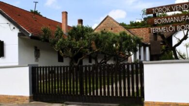 Török Vendégház - Villány Outback Kisjakabfalva 