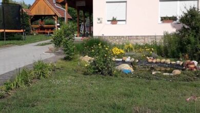 Tóth Vendégház Dejtár 