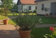 Tóth Vendégház és Apartmanház Újfehértó 