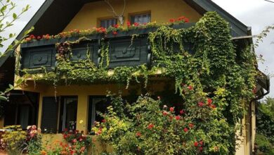 Trófea Apartman Gyenesdiás 