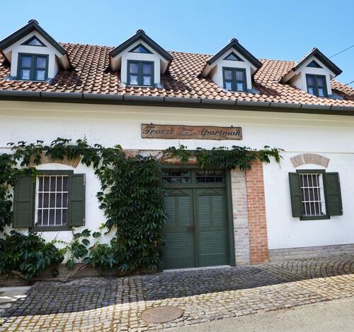Troszt Pince és Apartman Villány 