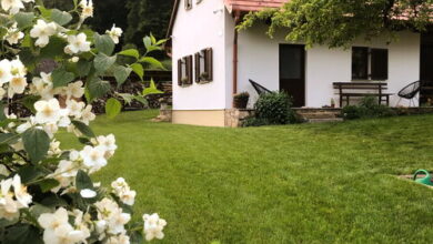 Tücsök Vendégház Óbánya 