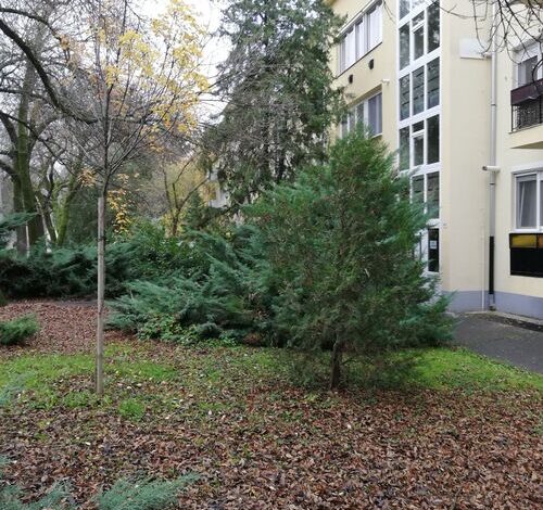 Tulip Family Apartment Eger 