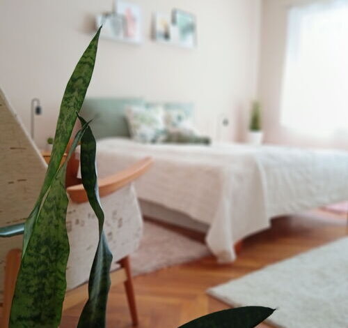 Tulipán Apartman Békéscsaba 
