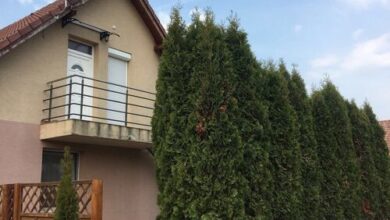 Tulipán Apartman Kápolnásnyék 