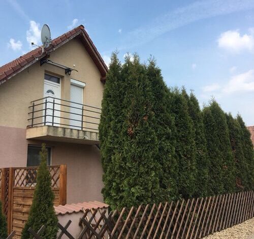 Tulipán Apartman Kápolnásnyék 