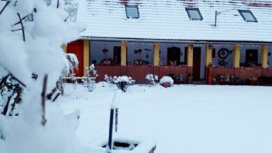 Tulipán Vendégház Bodony 