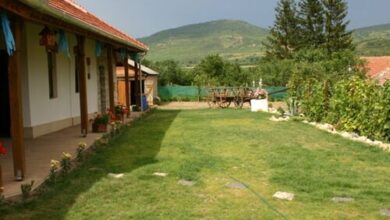 Tulipános Vendégház Golop 